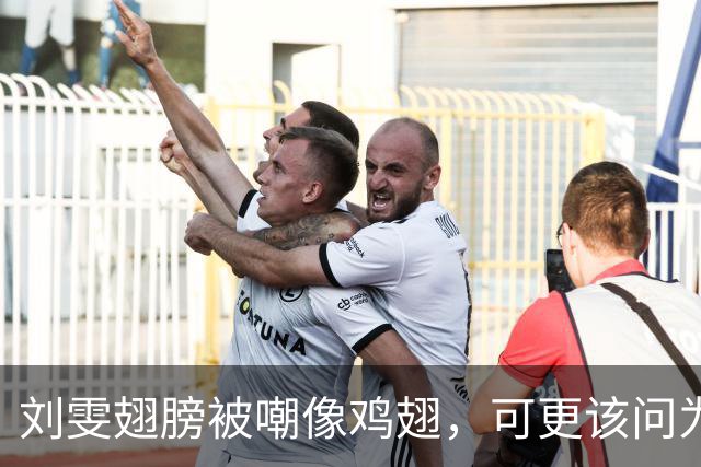 刘雯翅膀被嘲像鸡翅，可更该问为何十年仅两副？
