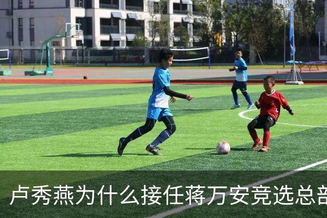 卢秀燕为什么接任蒋万安竞选总部的主委？