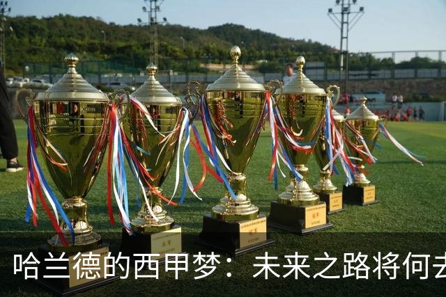 哈兰德的西甲梦：未来之路将何去何从？