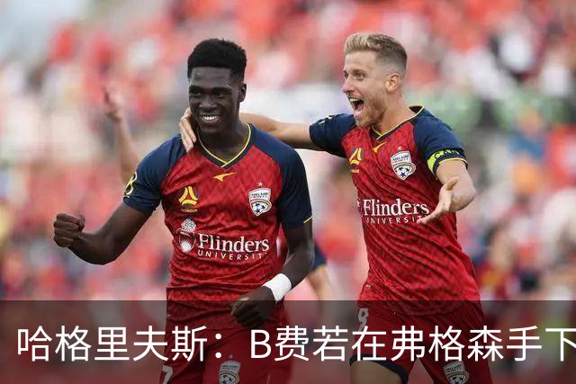 哈格里夫斯：B费若在弗格森手下说这话，就没机会再上场了