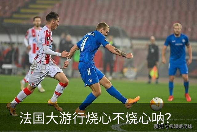 法国大游行烧心不烧心呐？